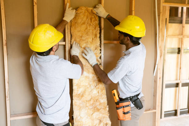 Best Insulation for New Construction  in Victoria, TX